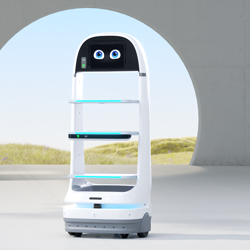 SSD-DR Open-Platform Delivery Robot